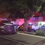 Violento ataque en panadería de Colima deja seis empleados sin vida